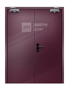 Противопожарная дверь глухая ДПМ-02 EI-45 двупольная со скрытыми петлями