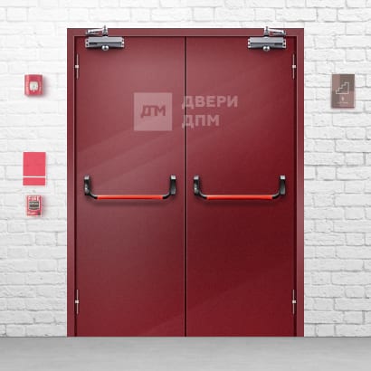 Глухая двупольная ДПМ-02 EI-30 противопожарная дверь с антипаникой